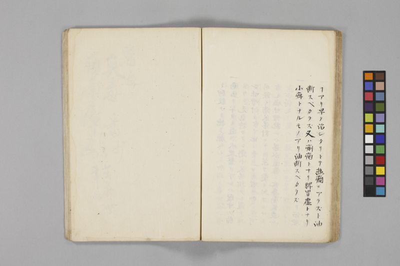 痧病類記 2巻 - ページ 45