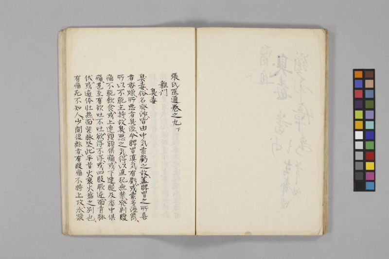 痧病類記 2巻 - ページ 47