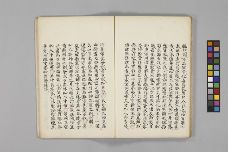 痧病類記 2巻 - ページ 53