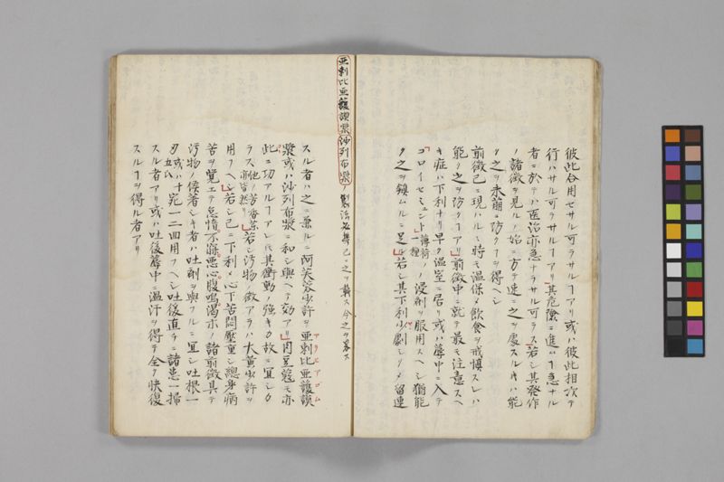 痧病類記 2巻 - ページ 73