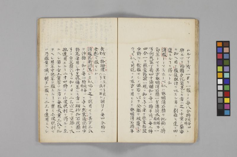 痧病類記 2巻 - ページ 85