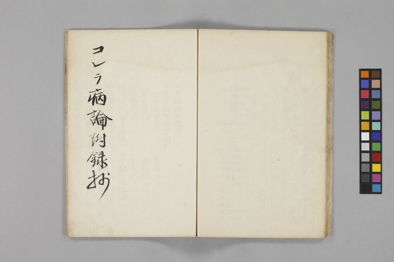 痧病類記 2巻 - ページ 93