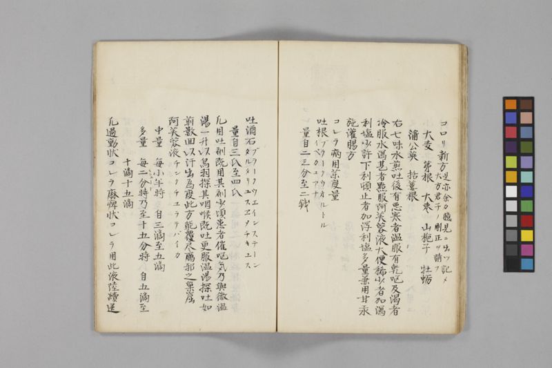 痧病類記 2巻 - ページ 95