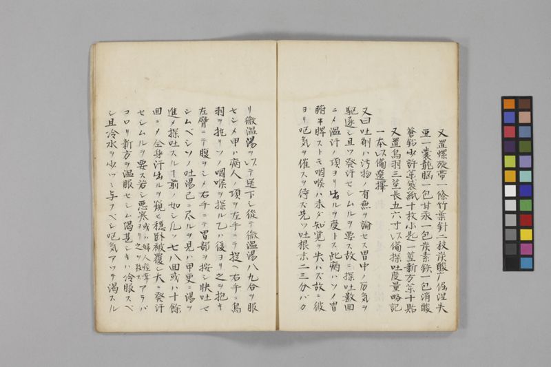 痧病類記 2巻 - ページ 100