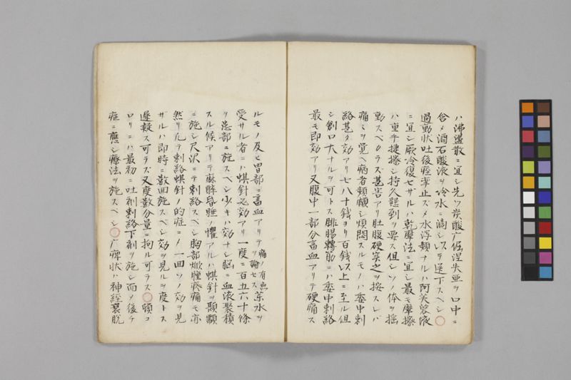 痧病類記 2巻 - ページ 101