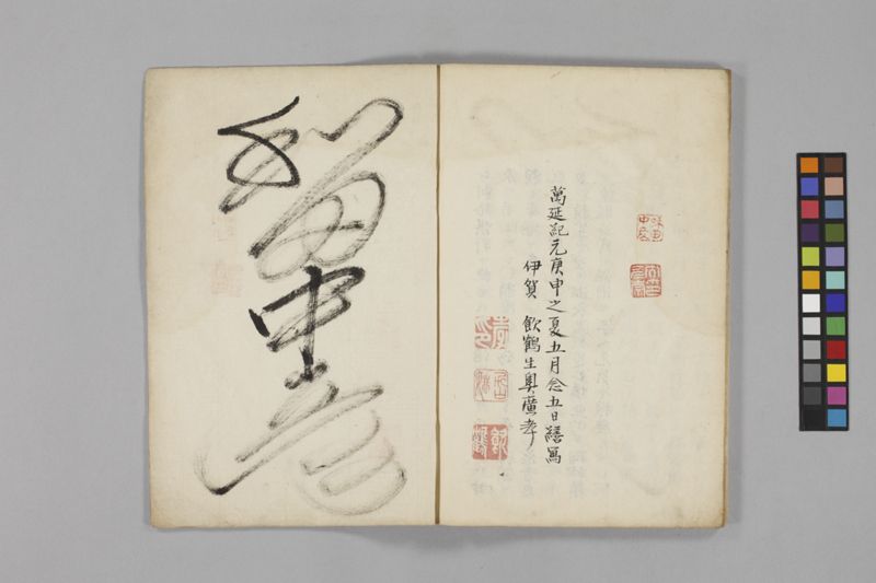痧病類記 2巻 - ページ 103
