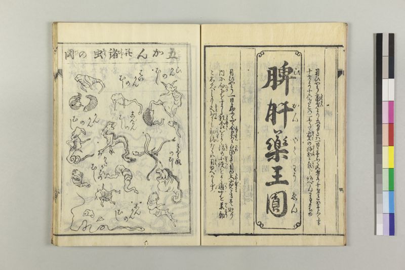 小児養育金礎 - ページ 10