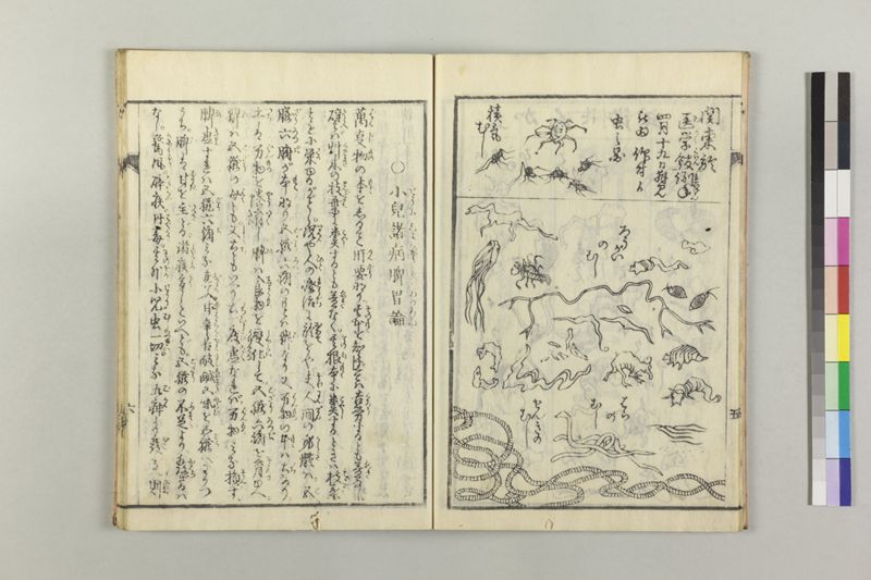 小児養育金礎 - ページ 11