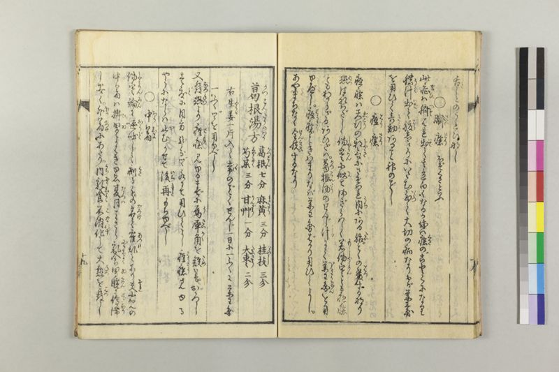 小児養育金礎 - ページ 24