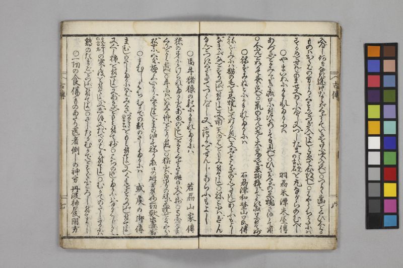 (懐中備急)諸国古伝秘方 - ページ 11