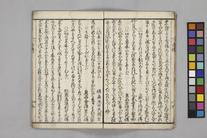 (懐中備急)諸国古伝秘方 - ページ 12