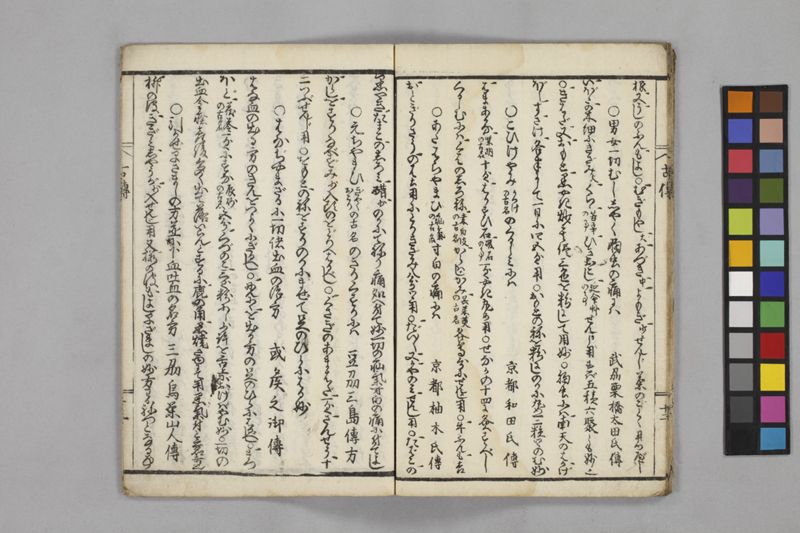 (懐中備急)諸国古伝秘方 - ページ 17