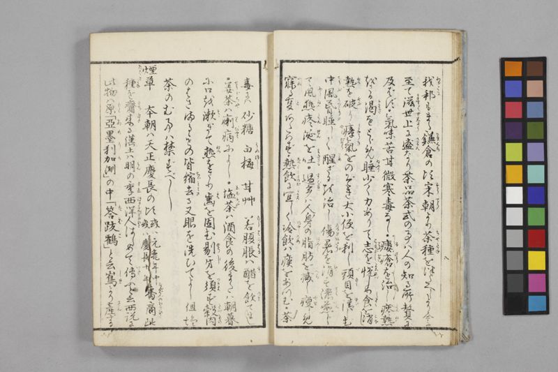 食鑑詹言 - ページ 12