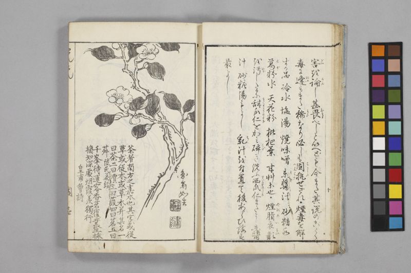 食鑑詹言 - ページ 14