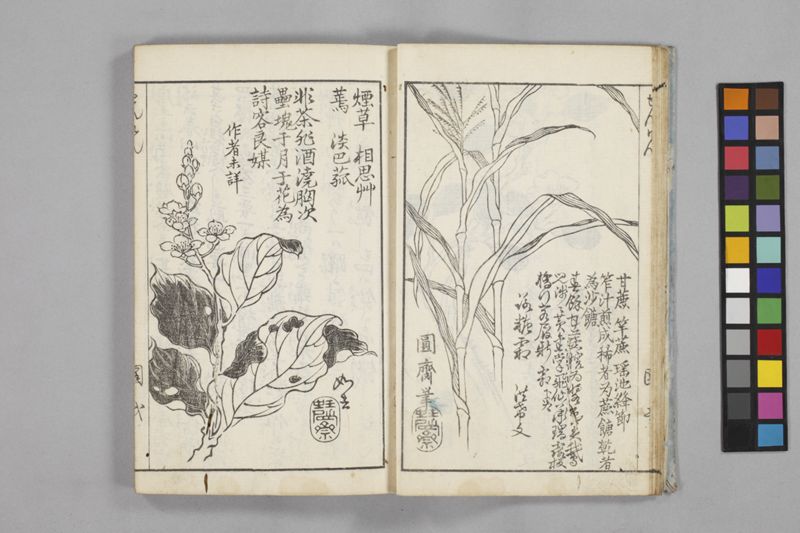 食鑑詹言 - ページ 15