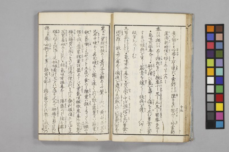 食鑑詹言 - ページ 21