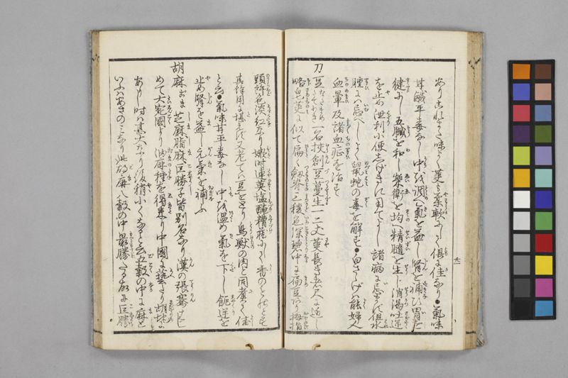 食鑑詹言 - ページ 27