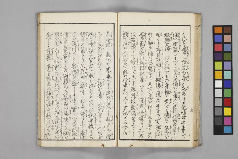 食鑑詹言 - ページ 28