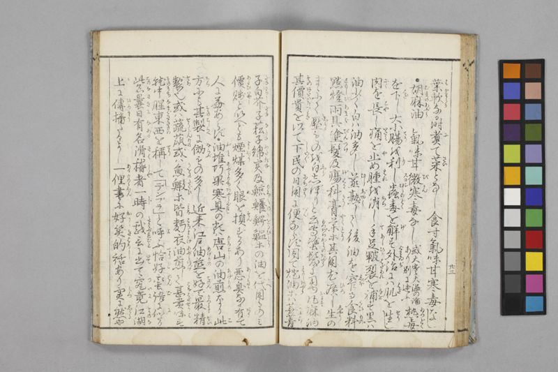 食鑑詹言 - ページ 29