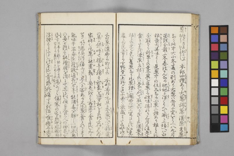 食鑑詹言 - ページ 34