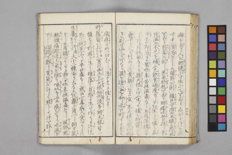 食鑑詹言 - ページ 41