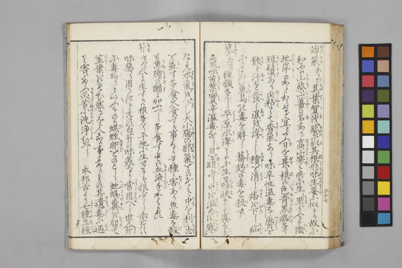 食鑑詹言 - ページ 43