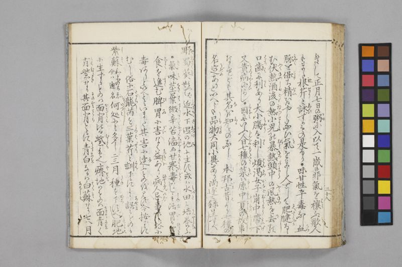 食鑑詹言 - ページ 44