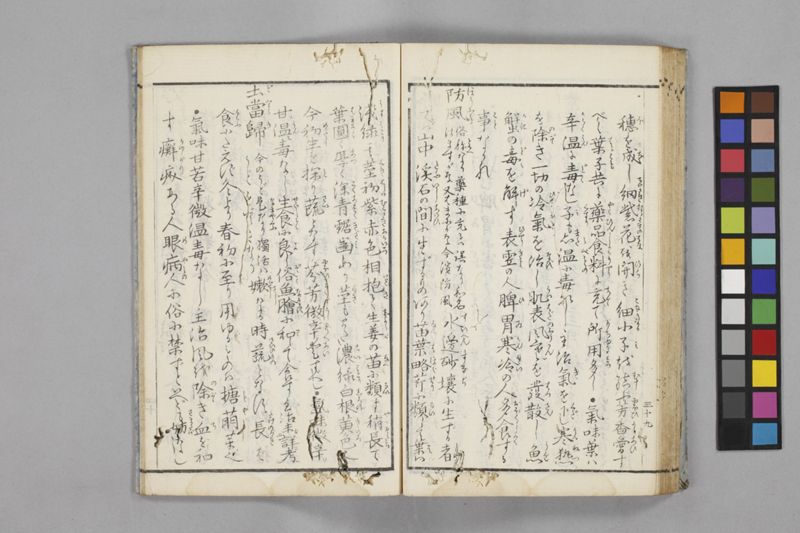食鑑詹言 - ページ 45