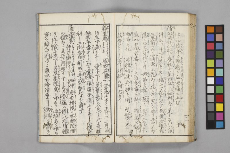 食鑑詹言 - ページ 48