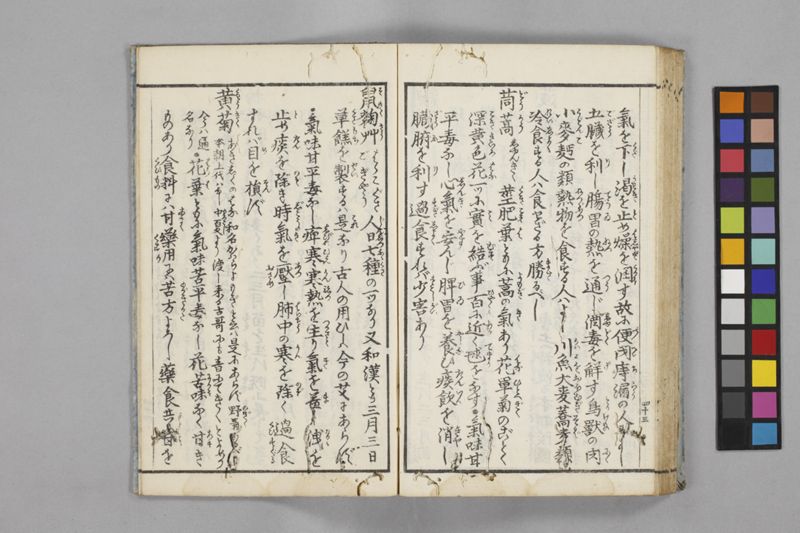 食鑑詹言 - ページ 49