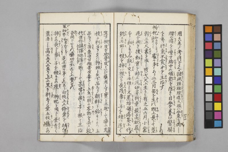 食鑑詹言 - ページ 50