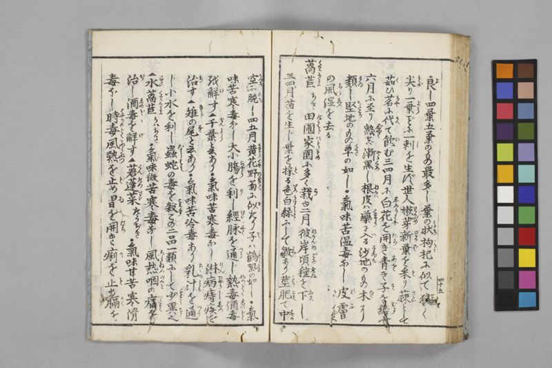 食鑑詹言 - ページ 51
