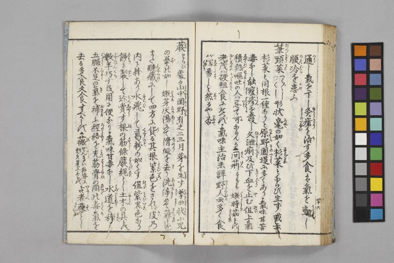 食鑑詹言 - ページ 52