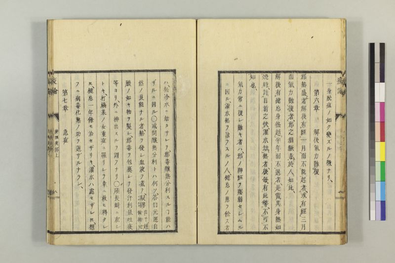 泰西疫論 前編(神経疫部上・下) - ページ 19