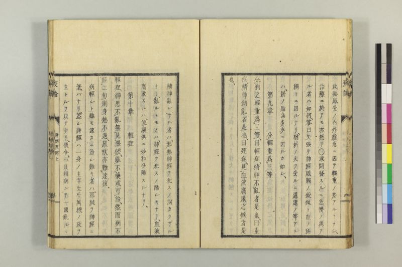 泰西疫論 前編(神経疫部上・下) - ページ 21