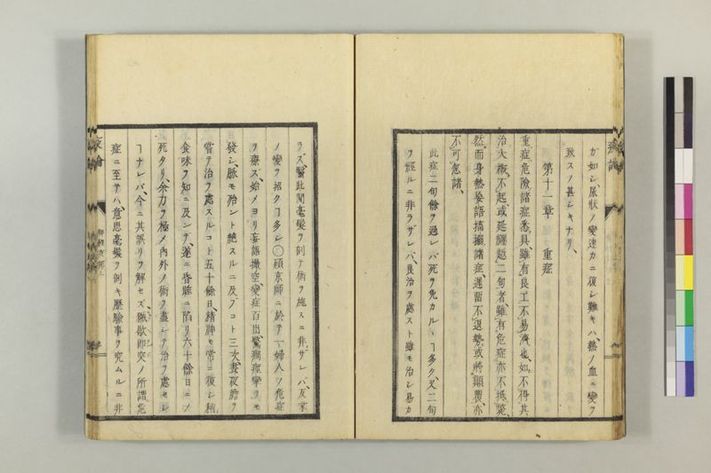 泰西疫論 前編(神経疫部上・下) - ページ 22