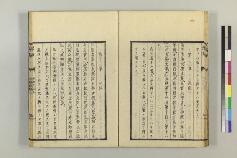 泰西疫論 前編(神経疫部上・下) - ページ 23