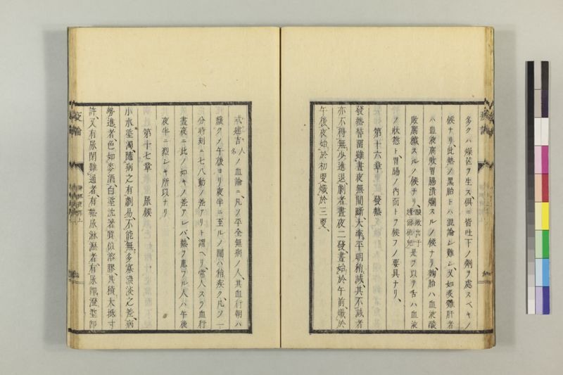 泰西疫論 前編(神経疫部上・下) - ページ 25