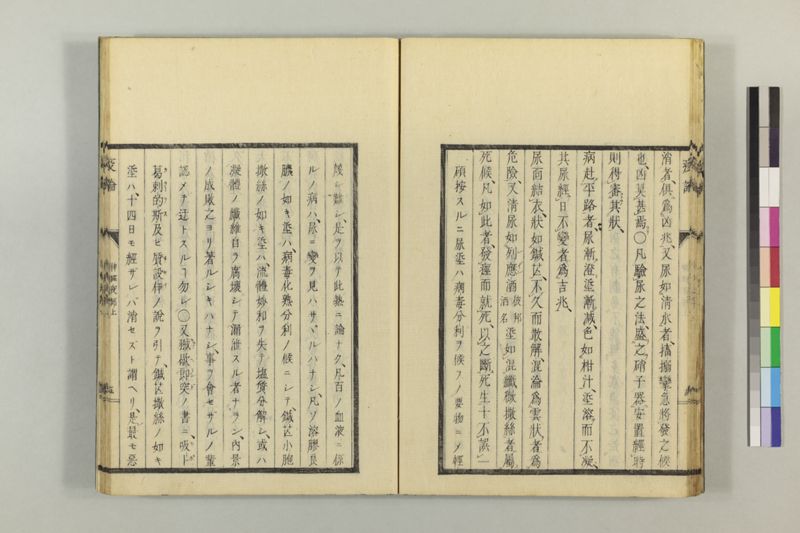 泰西疫論 前編(神経疫部上・下) - ページ 26