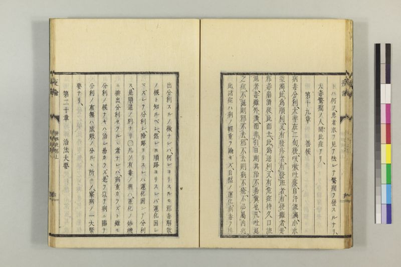 泰西疫論 前編(神経疫部上・下) - ページ 28