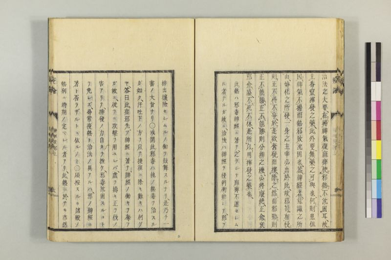 泰西疫論 前編(神経疫部上・下) - ページ 29