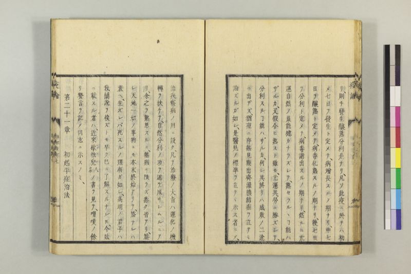 泰西疫論 前編(神経疫部上・下) - ページ 30