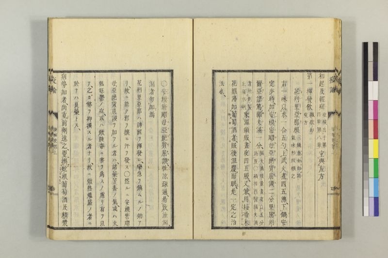 泰西疫論 前編(神経疫部上・下) - ページ 31