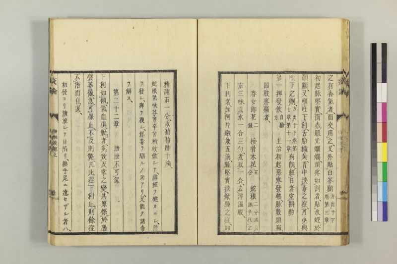 泰西疫論 前編(神経疫部上・下) - ページ 32