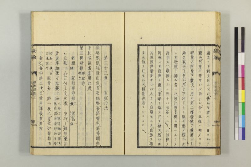 泰西疫論 前編(神経疫部上・下) - ページ 33