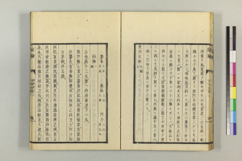 泰西疫論 前編(神経疫部上・下) - ページ 35