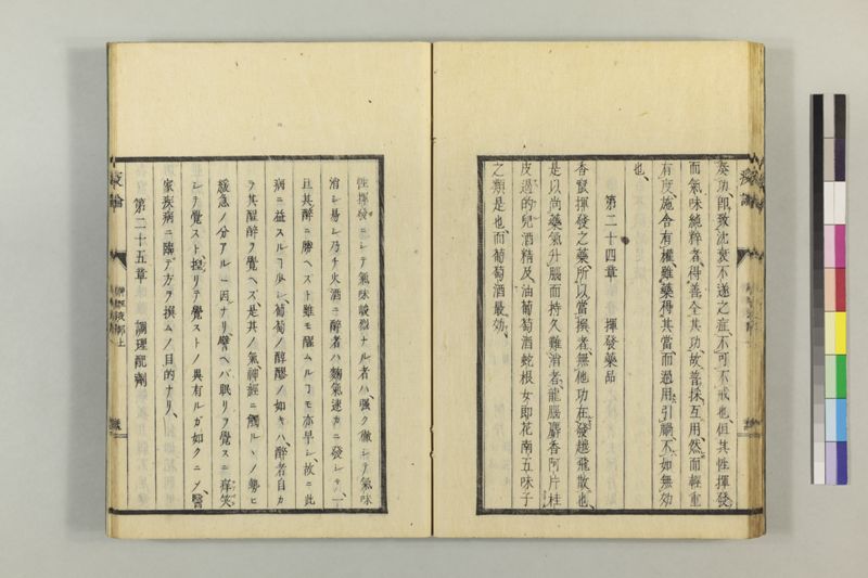 泰西疫論 前編(神経疫部上・下) - ページ 36