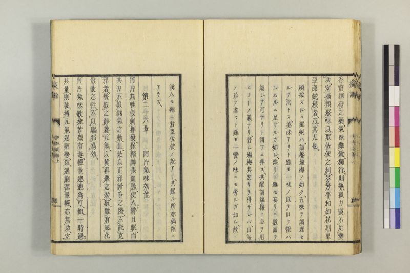 泰西疫論 前編(神経疫部上・下) - ページ 37