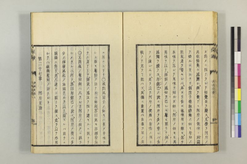 泰西疫論 前編(神経疫部上・下) - ページ 39