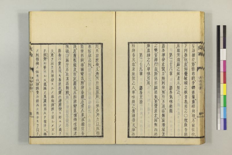 泰西疫論 前編(神経疫部上・下) - ページ 40